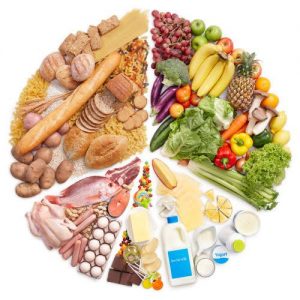 Read more about the article La paradoxe de notre alimentation